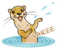 otter wee whee yaay happy dance