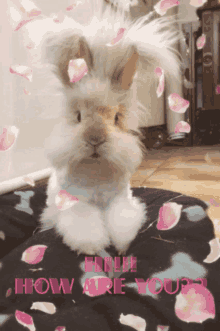 Hi Hey There GIF - Hi Hey There How Are You GIFs
