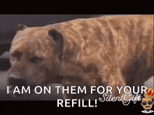 Silent Gift The Realness GIF - Silent Gift The Realness Tr GIFs