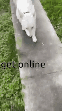 Get On Get Online GIF - Get On Get Online Nelson GIFs