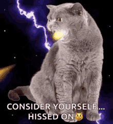 Angry Cat Firebreathing GIF - Angry Cat Firebreathing GIFs