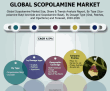 Global Scopolamine Market GIF