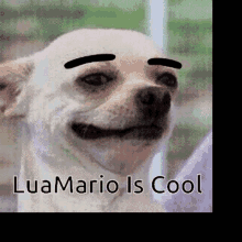 Lua Mario GIF - Lua Mario GIFs