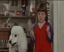 a little girl is standing next to a white poodle and holding a brush .