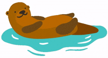 otter swim
