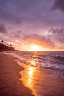 a beach at sunset with a purple sky and palm trees in the background