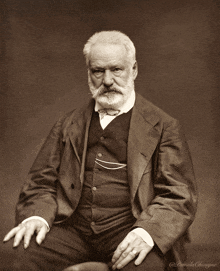 Hugo Victor Hugo GIF