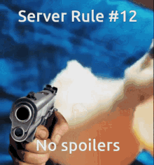 Server Rule Rule12 GIF - Server Rule Rule12 Duck With Gun GIFs