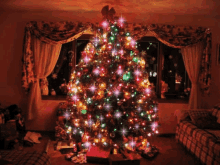 Merry Christmas 2021 Latest Gif Animated Sayings Pictures  Best Wishes
