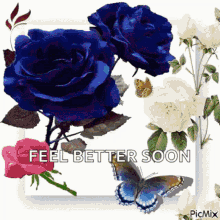 Feel Better Soon Roses GIF - Feel Better Soon Roses Flowers GIFs