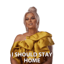 i should stay home real housewives of potomac i have to stay in the house i dont have to go out robyn dixo