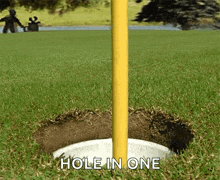 Golf Holeinone GIF