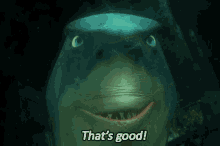 Thats Good Dory GIF - Thats Good Dory Shark GIFs