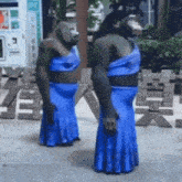 Indiniprint Two Apes In Blue Dresses Dancing GIF