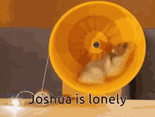 joshua is llonely
