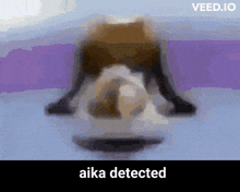 Detected GIF - Detected GIFs