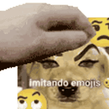 cachorro pet imitando emojis emojis