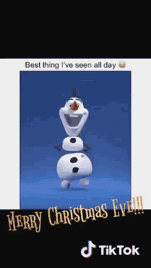 best thing ive seen today merryz christmas olaf