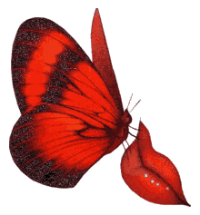 butterfly lips butterfly lips