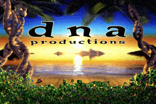 an ad for dna productions shows a sunset on the beach