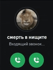 a picture of a lion in a circle with two green buttons on a black background .