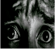 a close up of a person 's eyes with a tiger 's face painted on them .