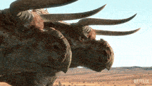 two dinosaurs with long horns are standing next to each other in a desert .