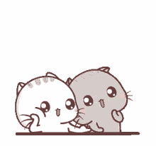 cute cats cat couple silly