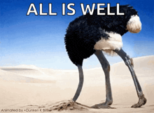 an ostrich with its head in the sand and the words all is well