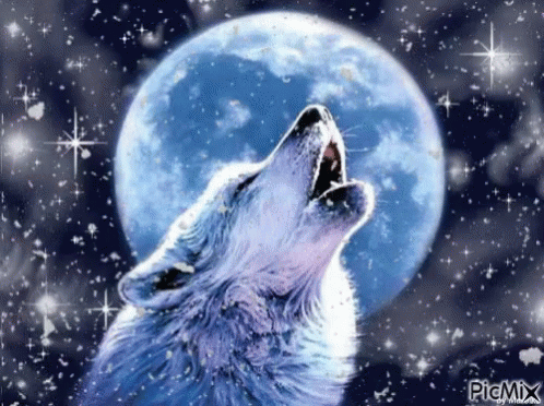 howling wolf gif tumblr