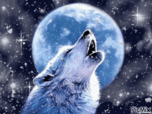 Wolf Howl GIF