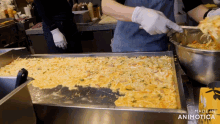 a tray of food with the words made in animatica written on the bottom