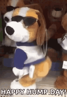 a stuffed dog wearing sunglasses and a blue shirt is dancing and says happy hump day .