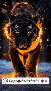 a picture of a tiger with the caption capt lk ii n g