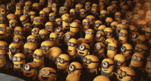 a large group of minions are smiling and wearing glasses