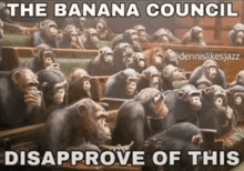 Banana Council GIF - Banana Council GIFs