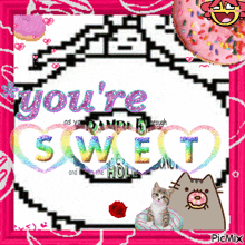 a picture of a cat and a donut with the words you 're sweet on it