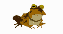 Futurama Hypno Toad GIF