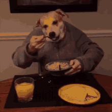 Anjing Rakus Makan GIF - Anjing Rakus Makan GIFs