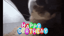 Birthday Cat GIF - Birthday Cat Chipi Chipi Chapa Chapa Cat GIFs