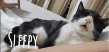 Cat Tired GIF - Cat Tired Exhausted GIFs