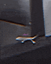 Lizco Total Chaos GIF