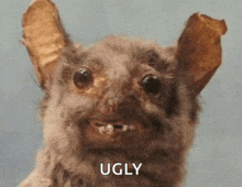 Ugly Creepy GIF - Ugly Creepy Creature GIFs