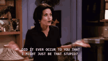 stupid monica geller courtney cox i might just be that stupid