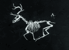 Skeleton Deer GIF - Skeleton Deer GIFs