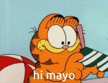 Hi Mayo Extracooldudemayo GIF