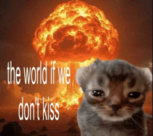 a picture of a cat with the words " the world if we do n't kiss "