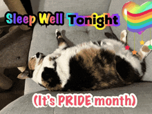 a calico cat is laying on its back on a couch with the words sleep well tonight it 's pride month