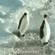 Penguins Hit GIF