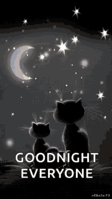 goodnight sparkles stars cats goodnight everyone